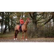 Esteira de dressage para cavalos LeMieux Loire Classic