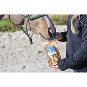 Crackers para a curcuma de locomoção de cavalos Natural Innov Natural'Crackers Moov - 300 g
