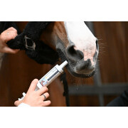 Suplemento alimentar para controlo do stress em cavalos Natural Innov Relax Flash