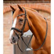 Faixa de testa de cavalo Rhinestone Premier Equine Bellissima
