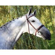 Protecção nasal anti-voo para cavalos QHP